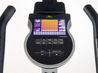 SportLine фото 6