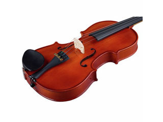 Vioara Stentor SR1018 Violinset 3/4. Livrare gratuita în toată Moldova ! foto 5