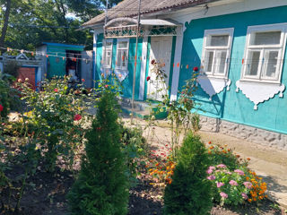 Продается дом в селе Старые Братушаны имеется сарай.гараж.подвал.вода,газ,отопление печное и на газе foto 5