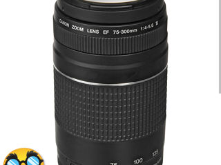 Canon 75-300