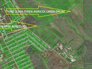 Vind teren agricol 2,98Ha Orhei foto 2