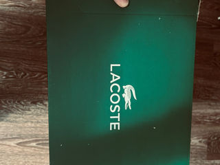 Vind Lacoste