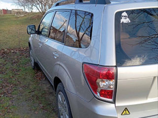 Subaru Forester foto 3