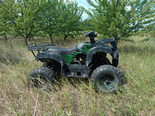 Boss ATV Viper foto 2