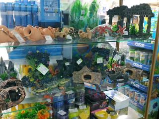 Магазины Zooterra - лучший в городе выбор аквариумов, техники, кормов и декоративных рыбок... foto 8
