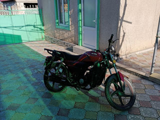 Alpha Moto 110 foto 4