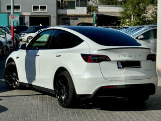 Tesla Model Y foto 5