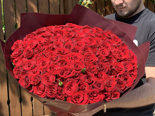 51 trandafiri 750 lei.     101 trandafiri 999 lei. foto 4