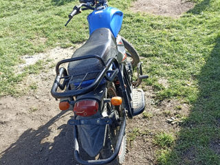 Viper Viper zs50cc