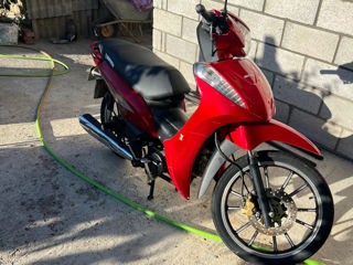 Alpha Moto Bravax foto 4