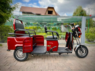 Altă marcă Scooter electric M17