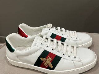 Adidași Gucci Originali