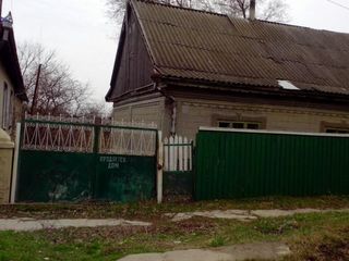 2 дома рядом в центре. foto 3