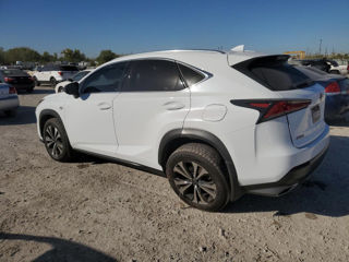 Lexus NX Series foto 4