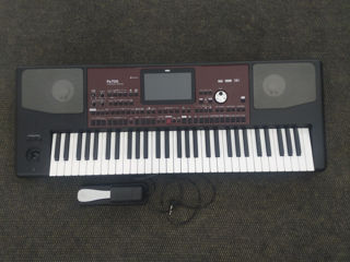 Korg PA700+чехол+педаль foto 1