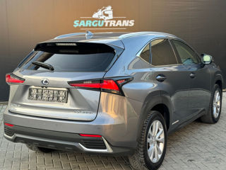 Lexus NX Series foto 4