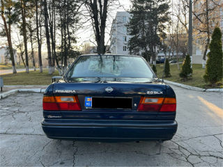 Nissan Primera foto 3