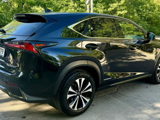 Lexus NX Series foto 5