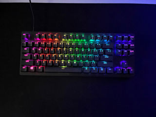 Razer Huntsman TE