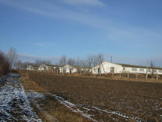 Teren constr.3.2 ha.Ferma  -3 grajdur de1800m2, posibil contractat 500ha-agric. foto 1