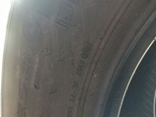 Pirelli 385 65 22.5 foto 3