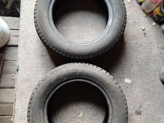 Debica 175/65 R14