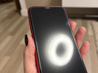 IPhone 11 foto 5