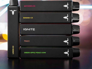 Mărime compactă și baterie bună Ignite 600 puffs