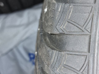 Ford 215/60 R16 Pirelli foto 9