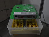 incubator automat 48 oua gaina,rata,ghisca foto 2
