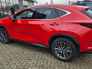 Lexus NX Series foto 7