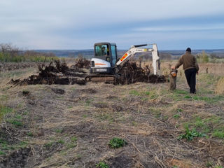 Bobcat / excavator / basculate foto 6