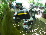 Piaggio Liberty foto 6