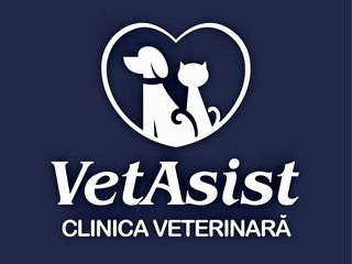 Clinica veterinara "vetasist" foto 9