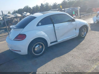 Volkswagen Beetle foto 6