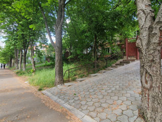 Perfect pentru investitie - casa + 6 ari - str. Belinski - prima linie foto 6