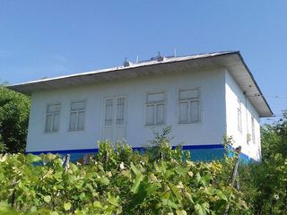 Vind casa in s.Fintinita, raionul Drochia foto 1