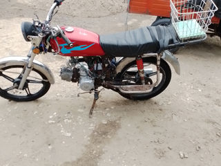 Alpha Moto 110 foto 2