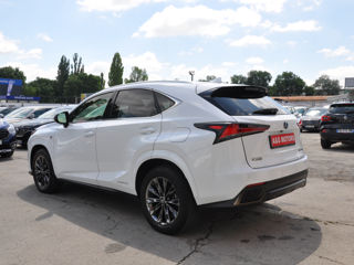 Lexus NX Series foto 4