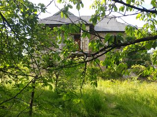 Casa cu 2 etaje + teren 25 ari cu pomi fructiferi. foto 7