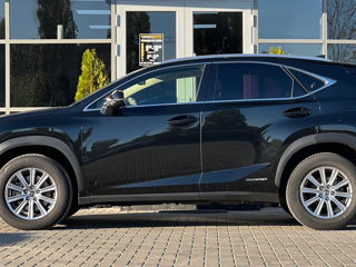 Lexus NX Series foto 8