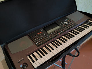 Korg PA 1000 foto 2