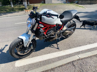 Ducati Monster 821 foto 4