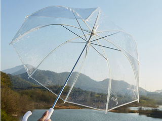 Прозрачные зонты и зонты с принтом! Цена 99 лей foto 2