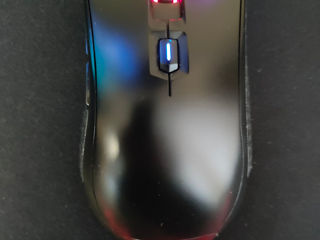 Mouse-uri gaming (colectie) foto 6