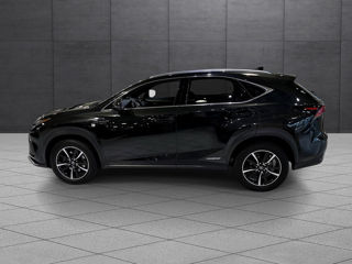 Lexus NX Series foto 4