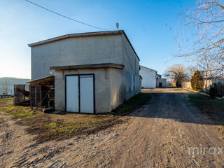 Se vinde spațiu comercial în s. Cobușca Veche, Anenii Noi, Moldova foto 4