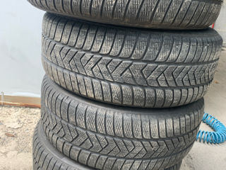 R19 255/50 Pirelli Scorpions foto 4