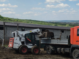 Servicii la ferme