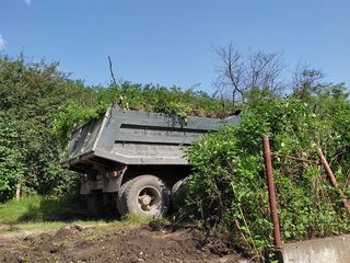 Camaz Excavator in Chirie Servicii foto 4